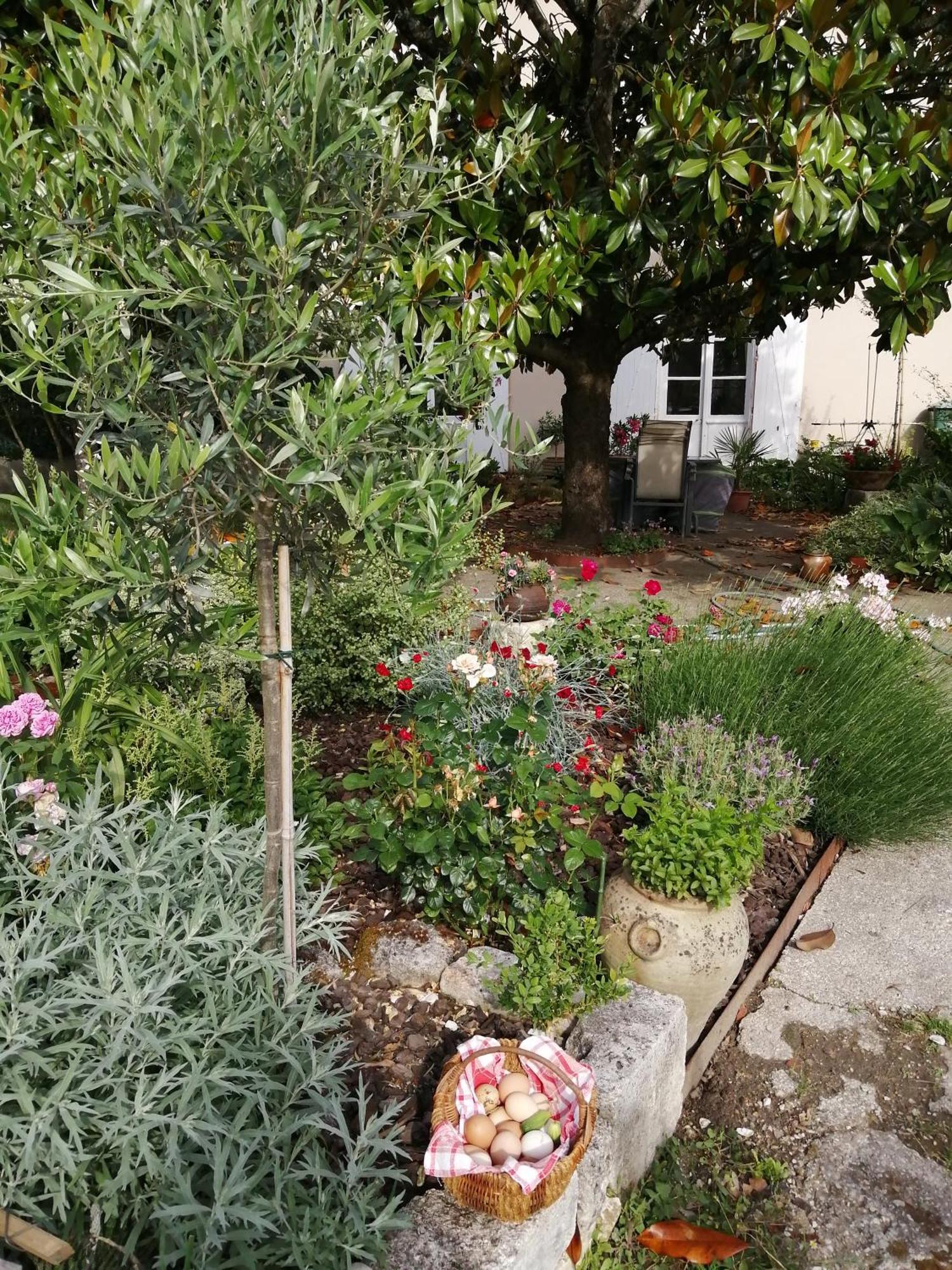 Au Logis De Vechillot Bed & Breakfast Angouleme Bagian luar foto