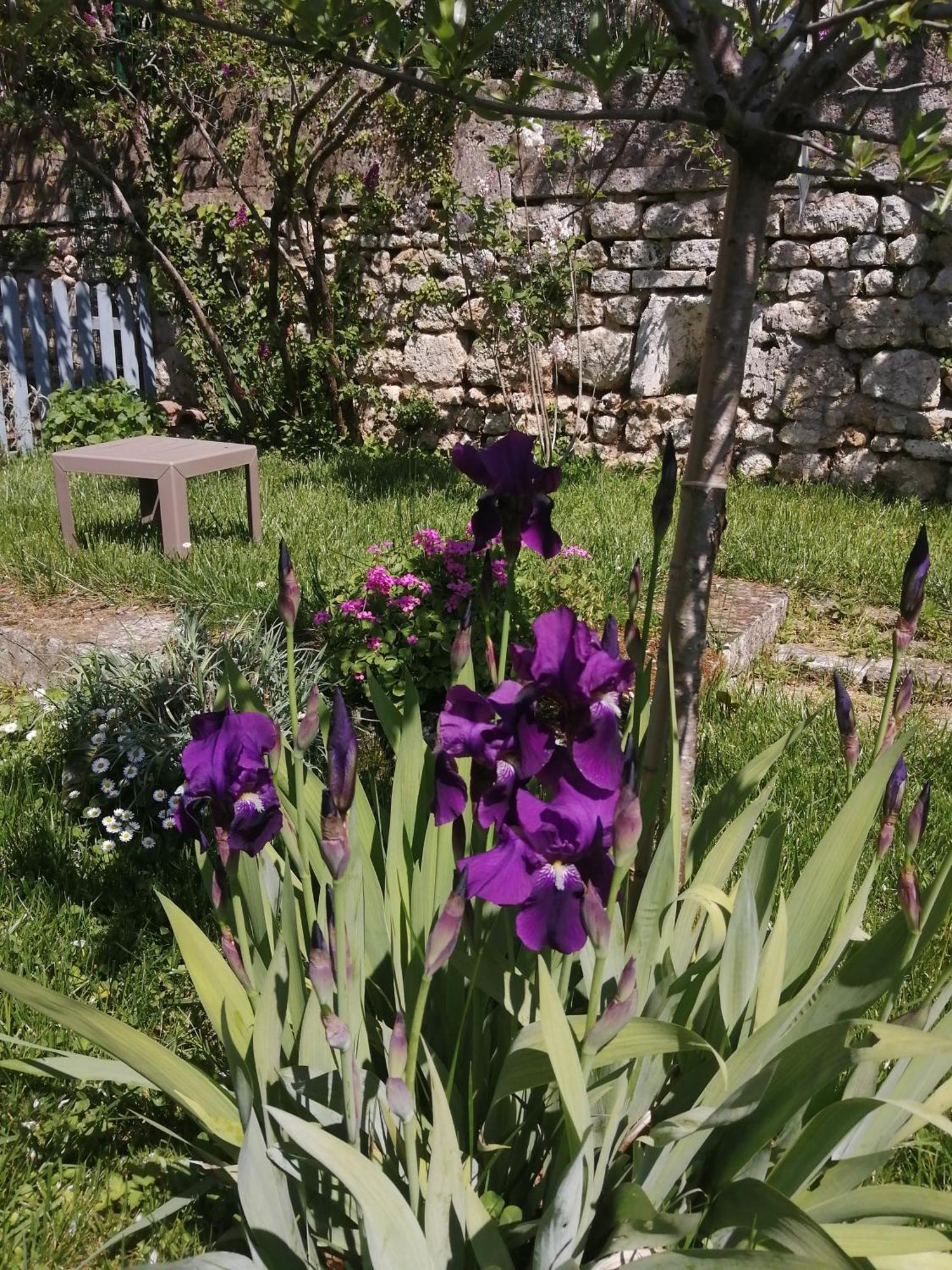 Au Logis De Vechillot Bed & Breakfast Angouleme Bagian luar foto